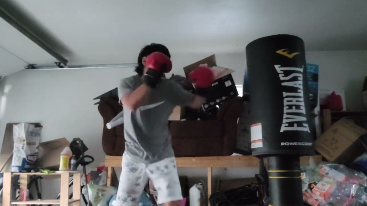 Everlast Powercore Freestanding Heavy Bag workout.