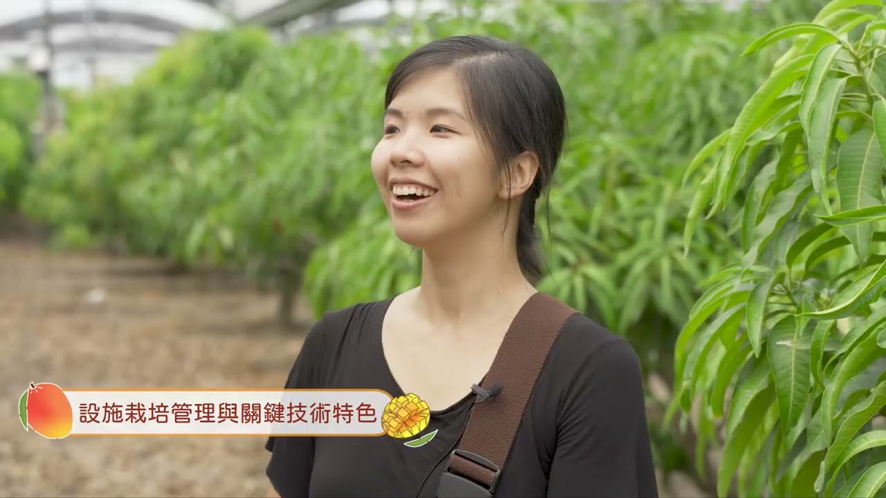 設施作物栽培系列_用了設施 不再芒碌