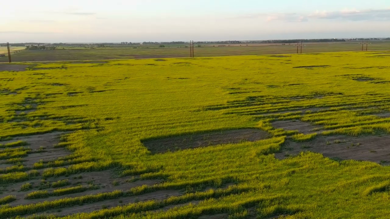 Crop inspection example
