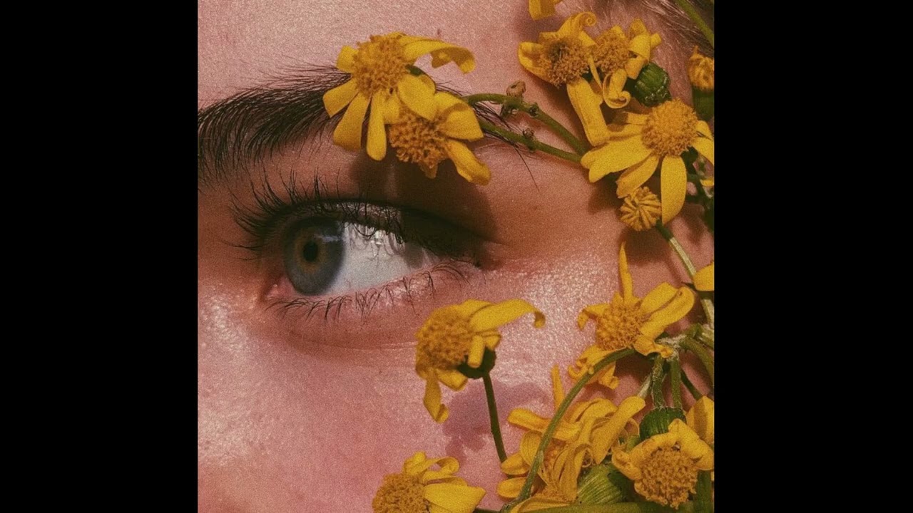 (FREE) Guitar Loop Kit / Sample Pack 