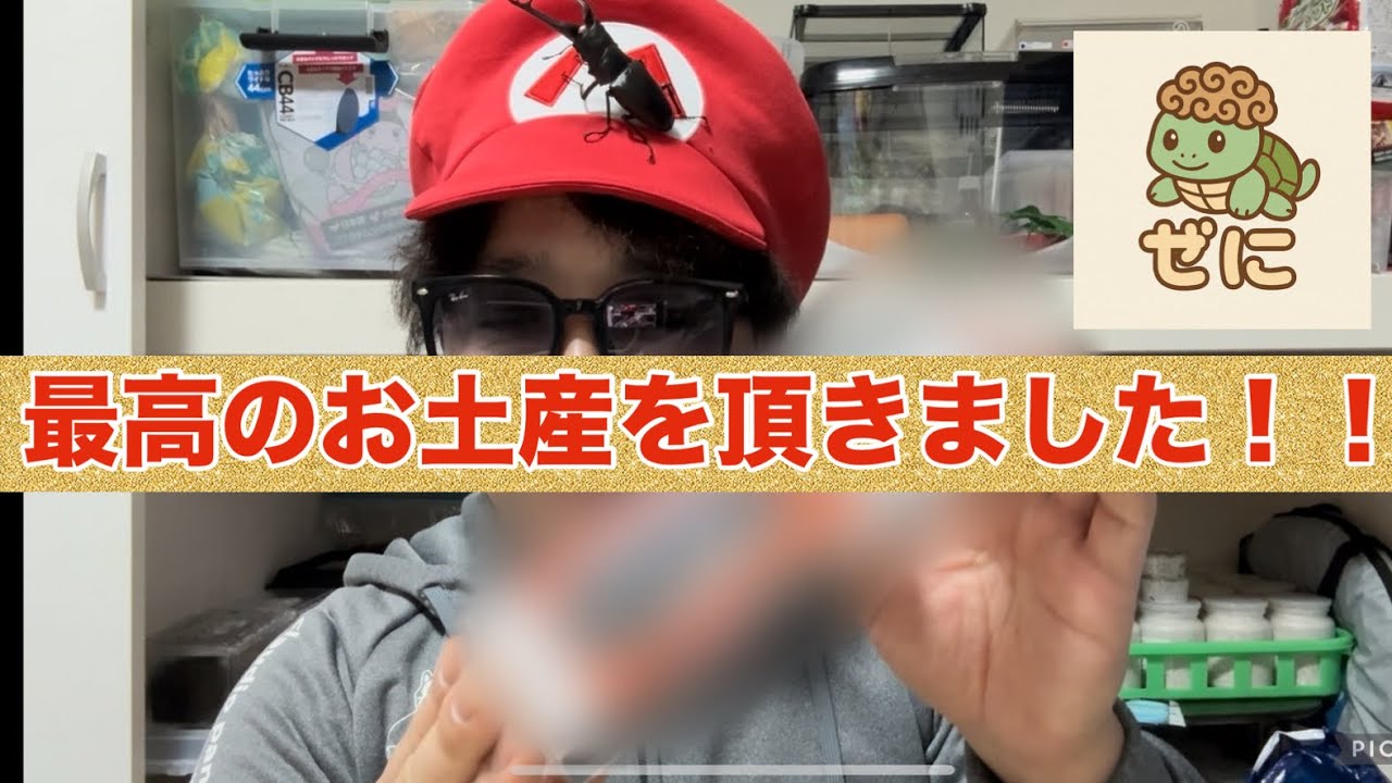 最高のお土産を頂きました🤩生き物好きには最高‼️