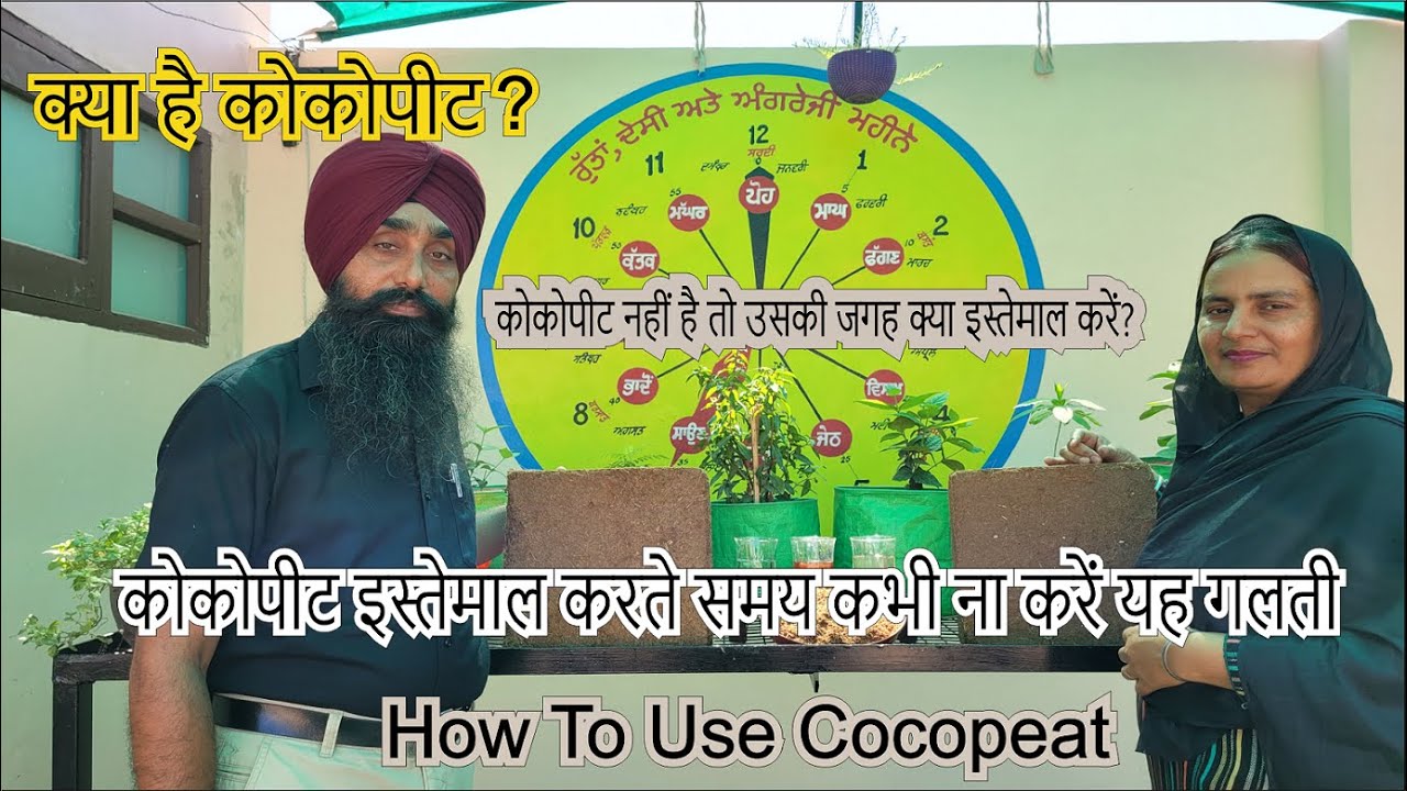 कोकोपीट इस्तेमाल करते समय कभी ना करें यह गलती ll How To Use Cocopeat ll