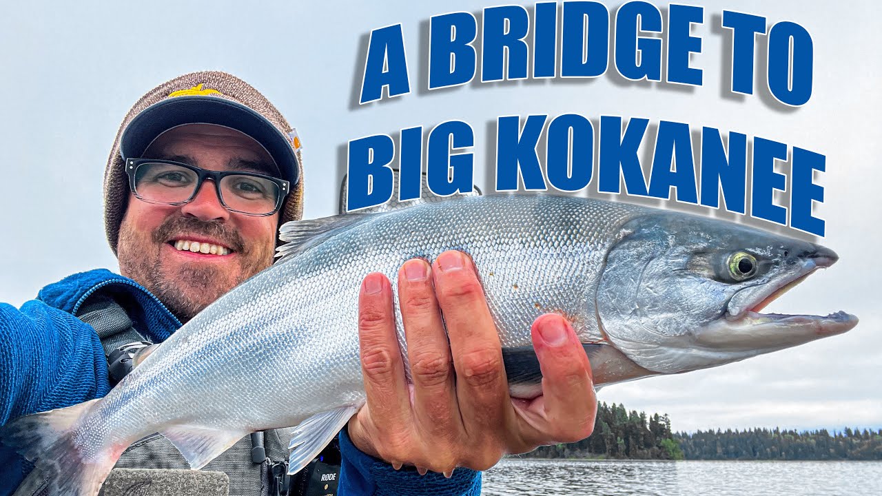 A Bridge to Big Kokanee