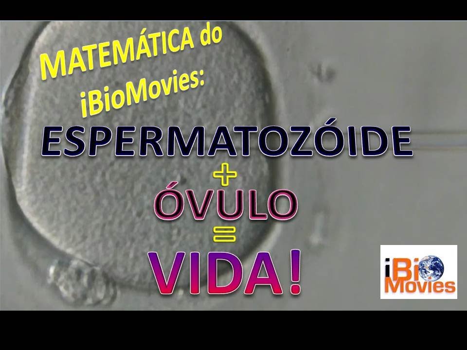 Espermatozoide + &Oacute;vulo = Vida - iBiomovies