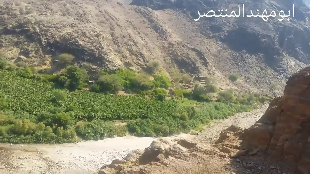 وادي بنا حالمين محافظة لحج :تحيات قاسم ابومهند المنتصر