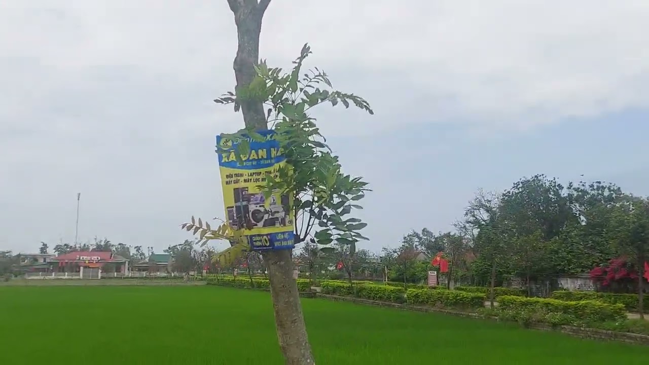 Đường về quê (25/02/2026)