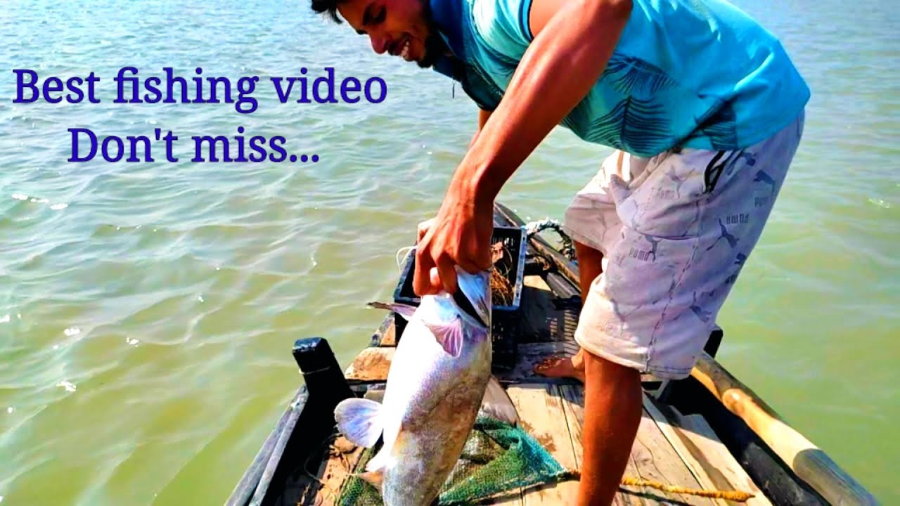 বছরের সেরা👍💯 মাছ আজ পেলাম বোধহয়😀..! Big catfish । Sundarban fishing @Tradifoodsundarban