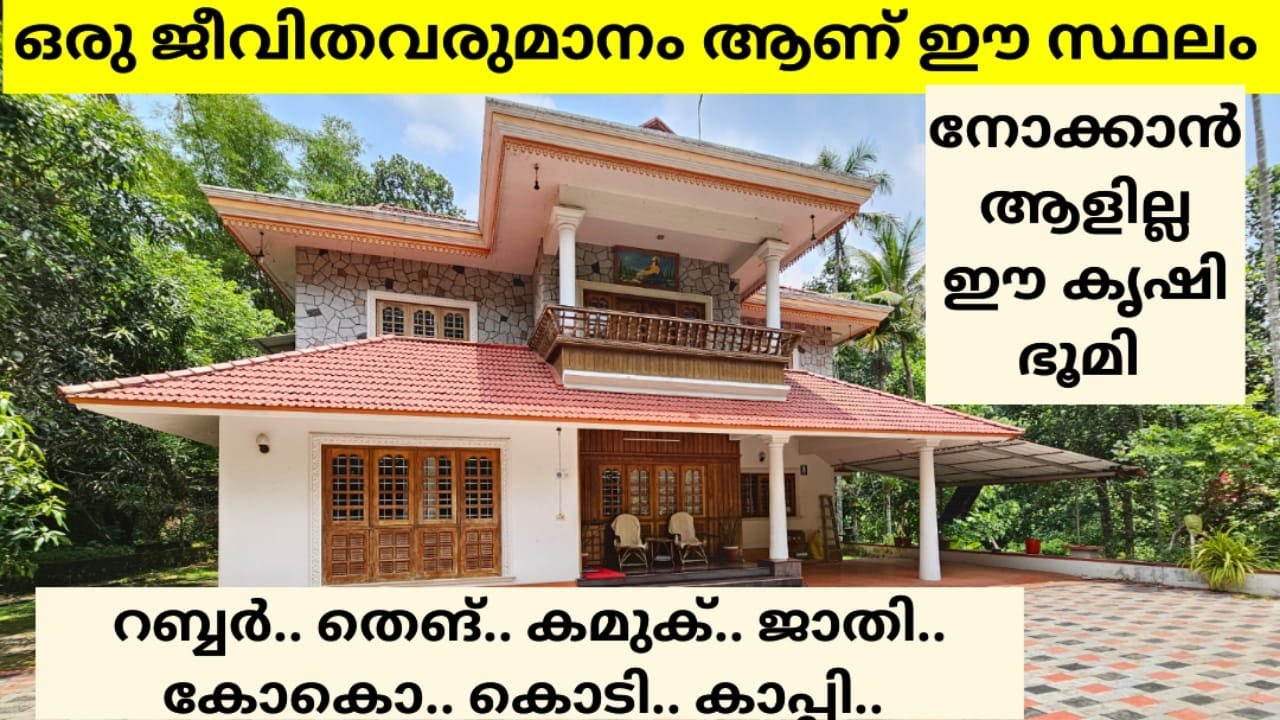 നോക്കാൻ ആളില്ല ഈ കൃഷി ഭൂമി ജീവിതവരുമാനം ഈ property video കണ്ട് നോകാം.