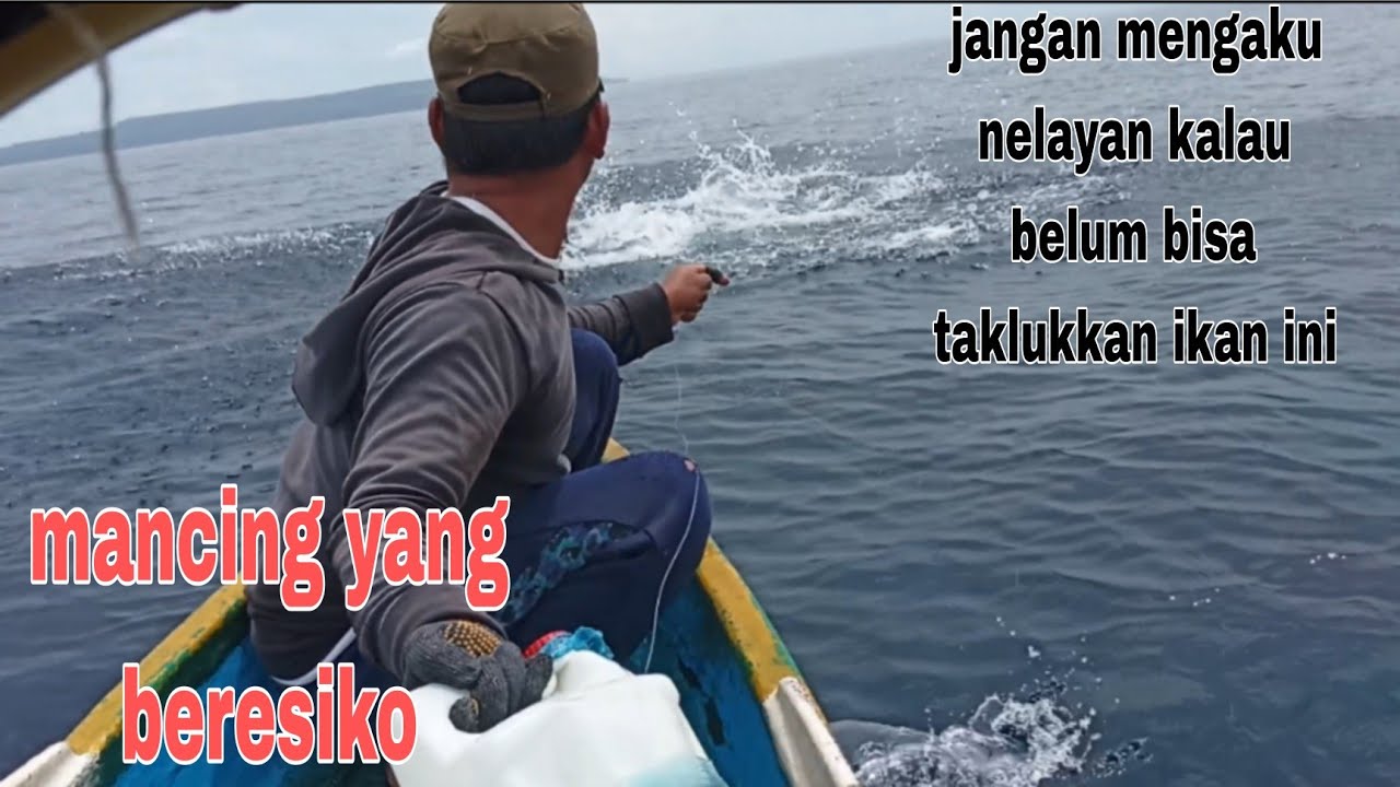 NYARIS..😱!!sedikit lagi Nyawaku hampir melayang😱karena ikan ini😲😲#umpanhidup #traditionalfishing