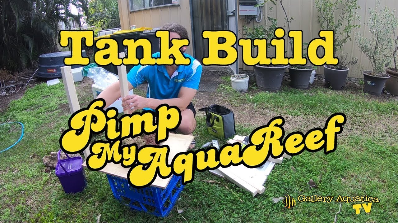 Tank Build: Pimp My AquaReef Episode #1 --- Gallery Aquatica TV