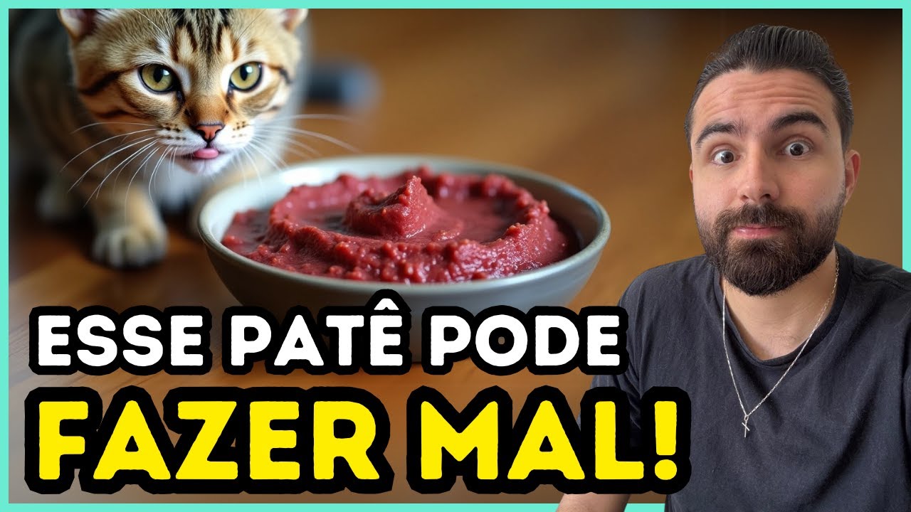 Se Você Dá ESSE Patê Caseiro Para Seu Gato, MUITO CUIDADO!