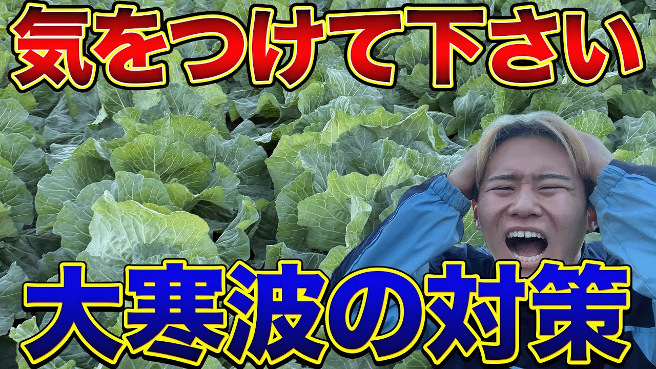 【今日からです】大寒波がやってくるので気をつけてください！