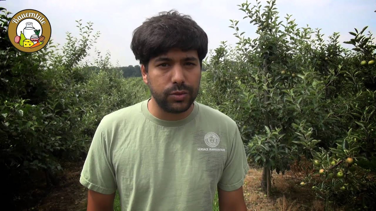 Obstanlagen Mönchhof - Bauerntüte