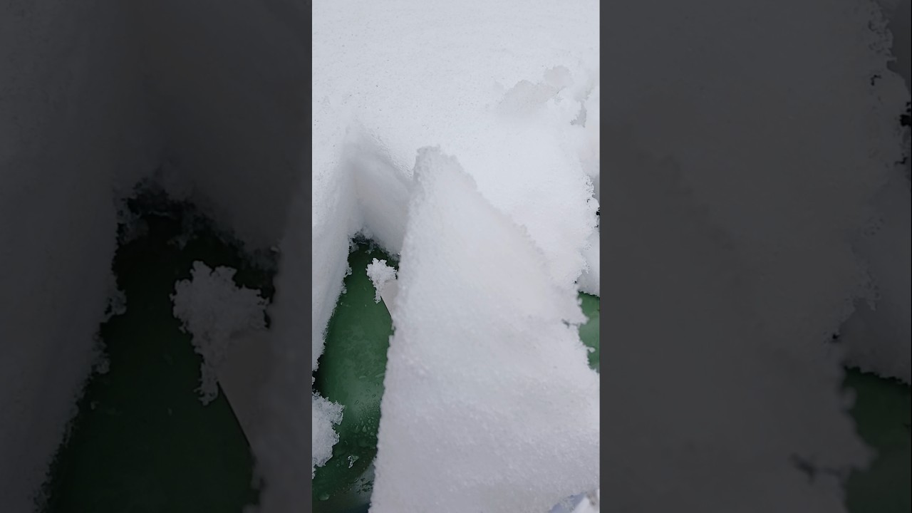 Fresh SnowCake Just For You! 