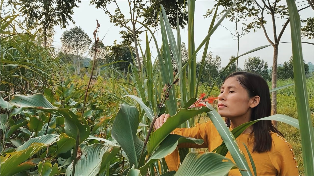 MẸ T&Ocirc;I - ALY PHƯƠNG L&Acirc;M (MV)