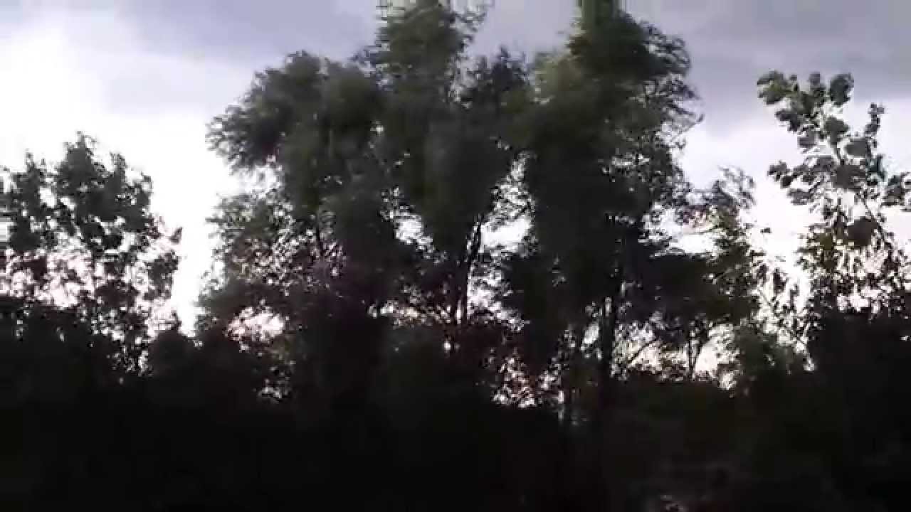 Gwałtowna burza z silną wichurą nad Łowiczem 20.07.2014.