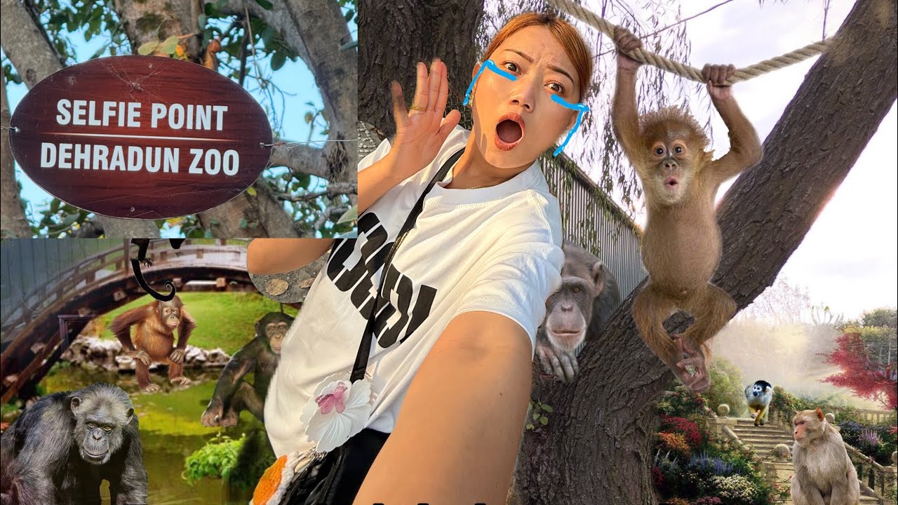 Dheradun🇮🇳 ko ZOO ma yeklai chodera farar budo 😎