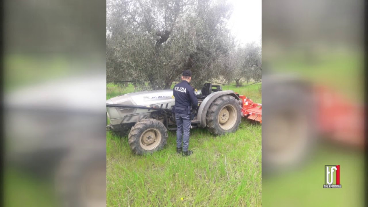 SERV RITROVAMENTO TRATTORI   08   04   2019   TG TELEFOGGIA