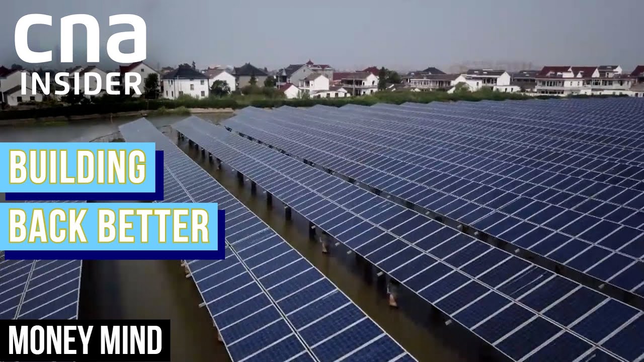 Why Low Carbon Is The Way To Go | Money Mind | Low Carbon Economy