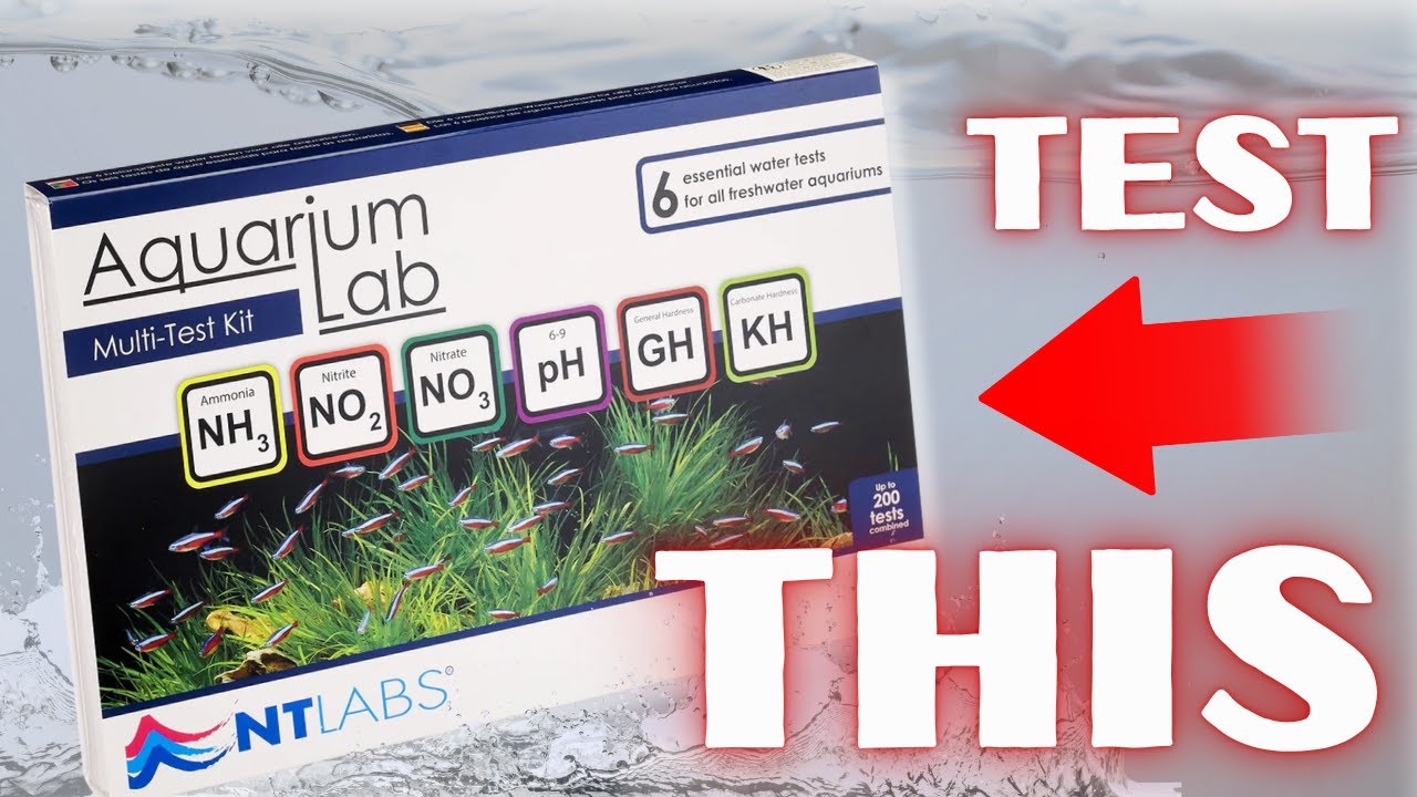 Насколько точен набор для тестирования аквариумных вод NT Labs? (Подходит для новичков)