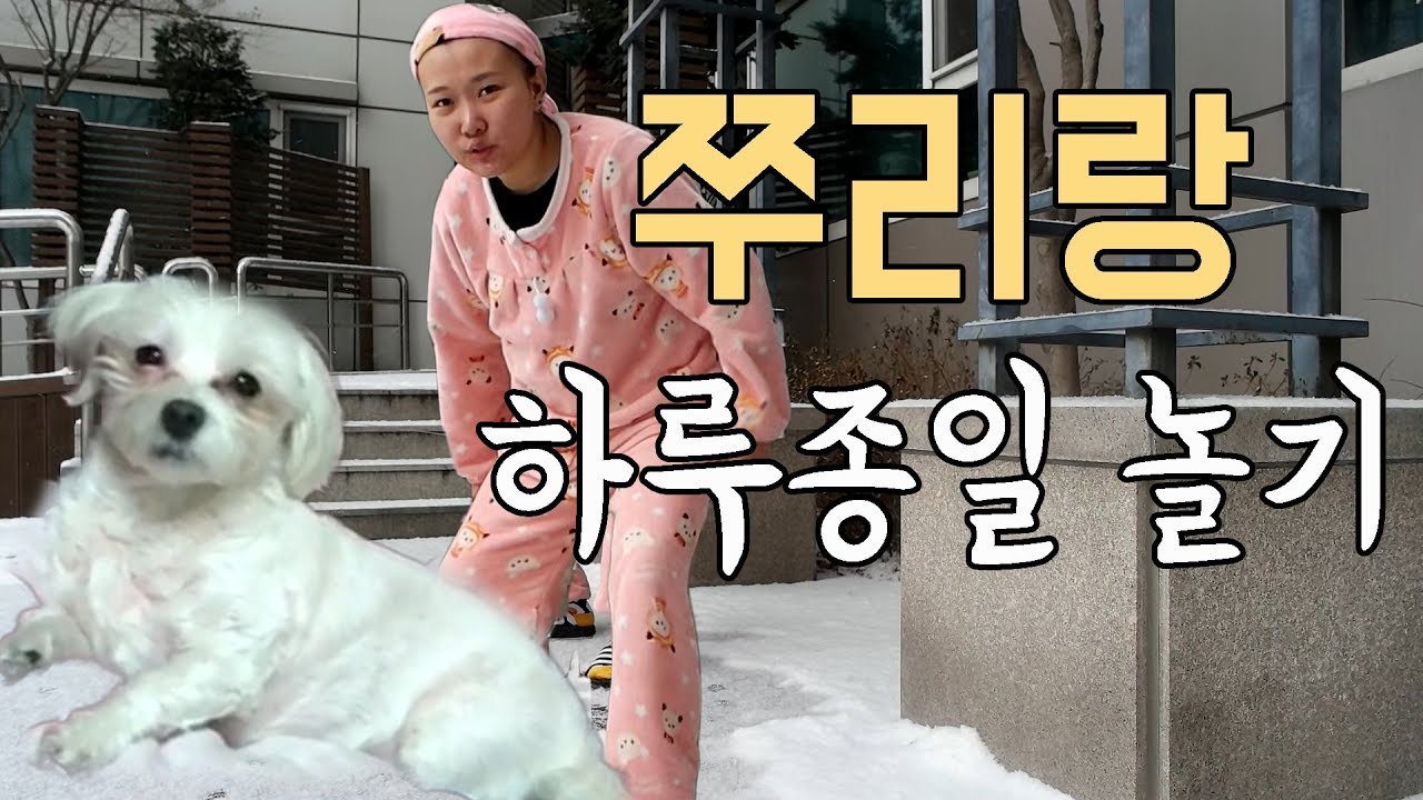 쭈리랑 친하게 하루종일 놀기 귀여움에 빠지고싶으시면 보즈아~!!![여정을떠난여정]