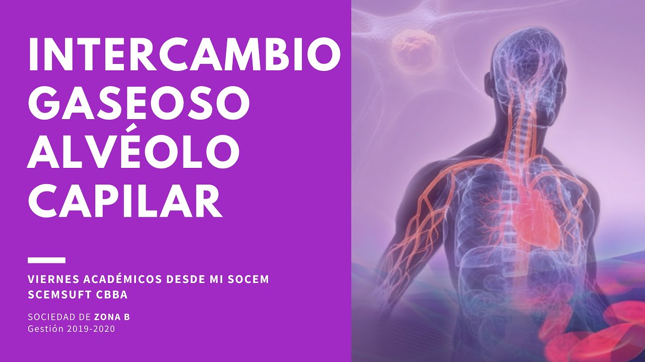 DESDE MI SOCEM - Videos Académicos - Intercambio Gaseoso Alvéolo Capilar / SCECSUFT CBBA
