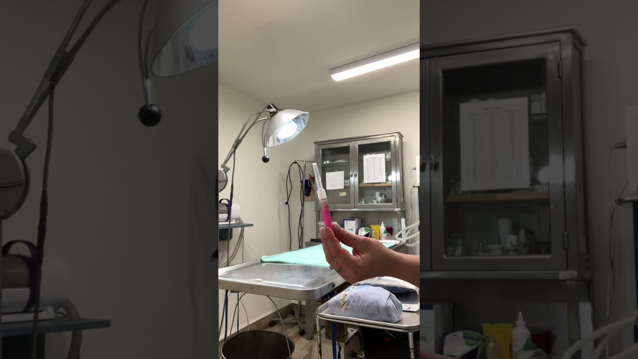 67.Prepare for Surgery Correct 