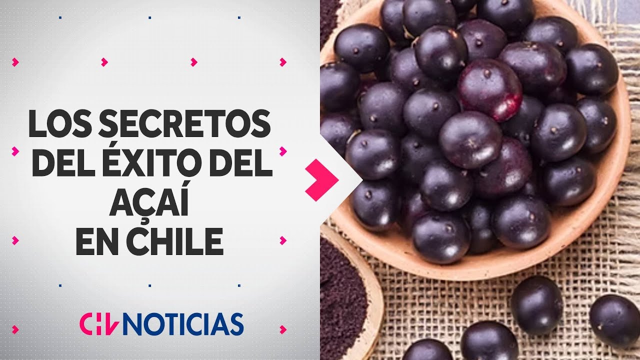 ¿QUÉ ES EL AÇAÍ? El secreto de su éxito en Chile y los beneficios de este fruto de moda