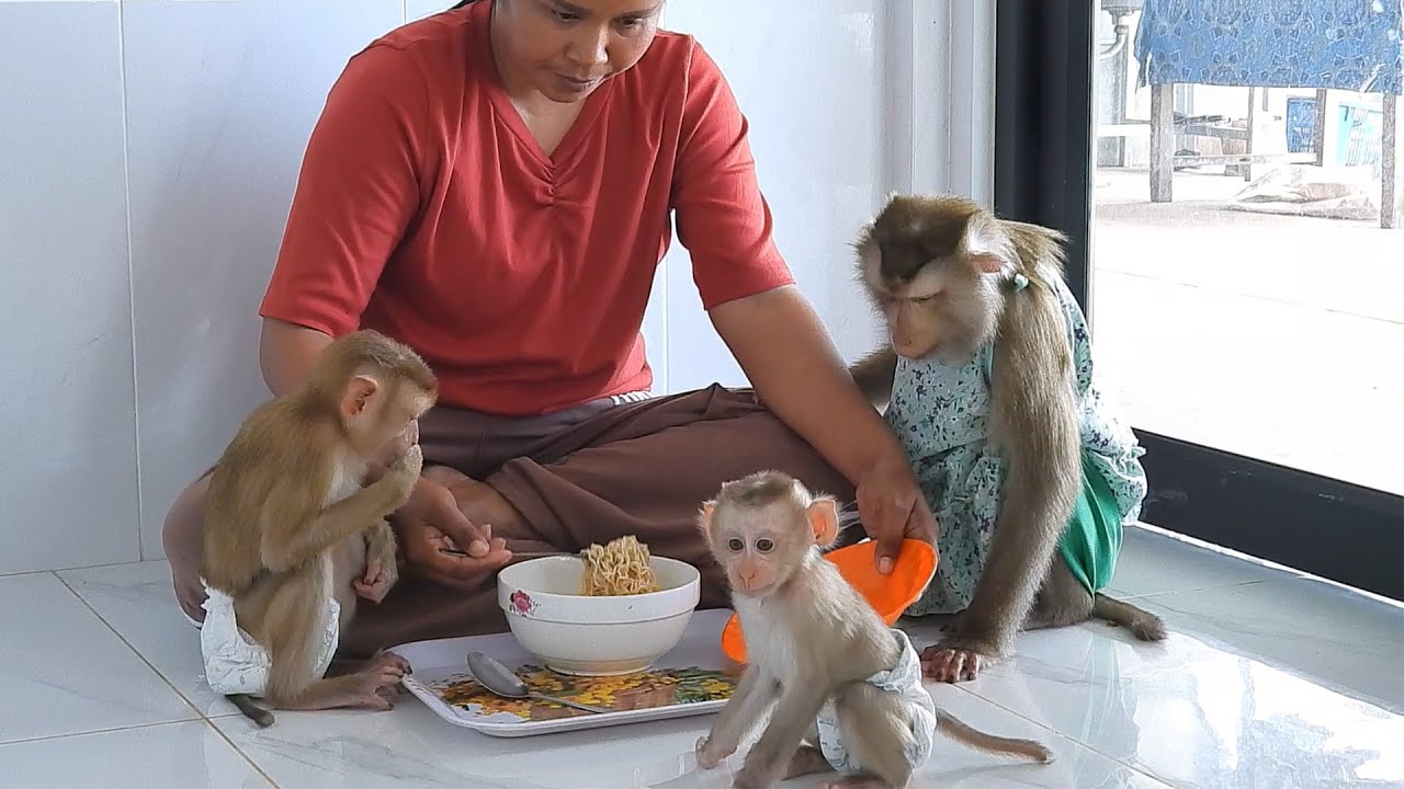 Adorable Valen's Family Enjoying Noodles Together