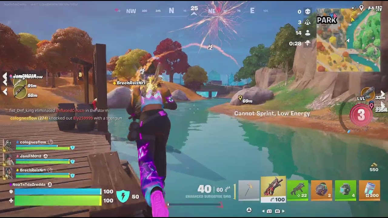 Fortnite victory royale part 14