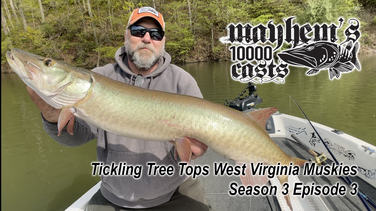 Season 3 episode 3 Tickling Trees for West Virginia Muskies - Mayhem's 10000 Casts