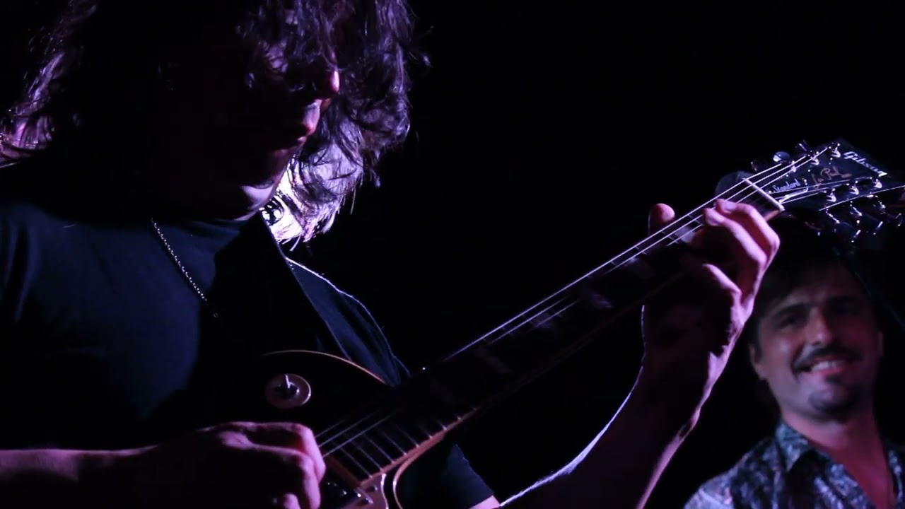 Luis Salinas en vivo - Mar del Plata (Enero 2015)