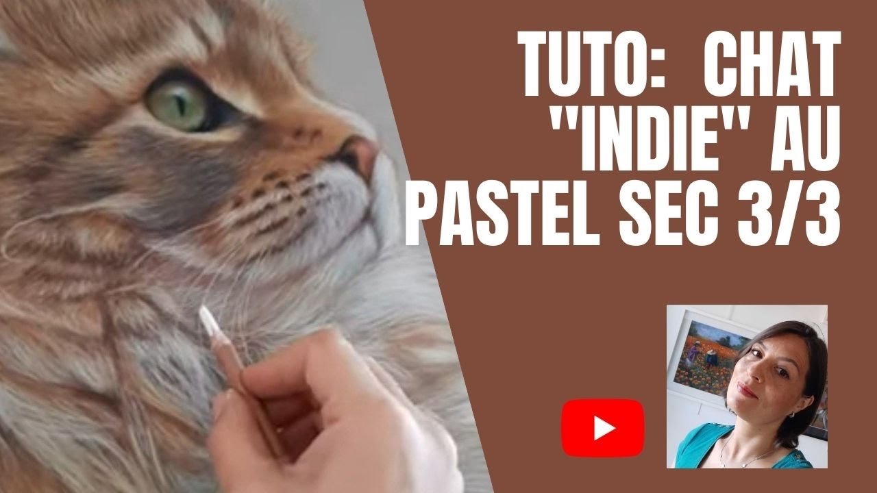 TUTO: Comment dessiner un chat aux crayons pastel Partie 3/3