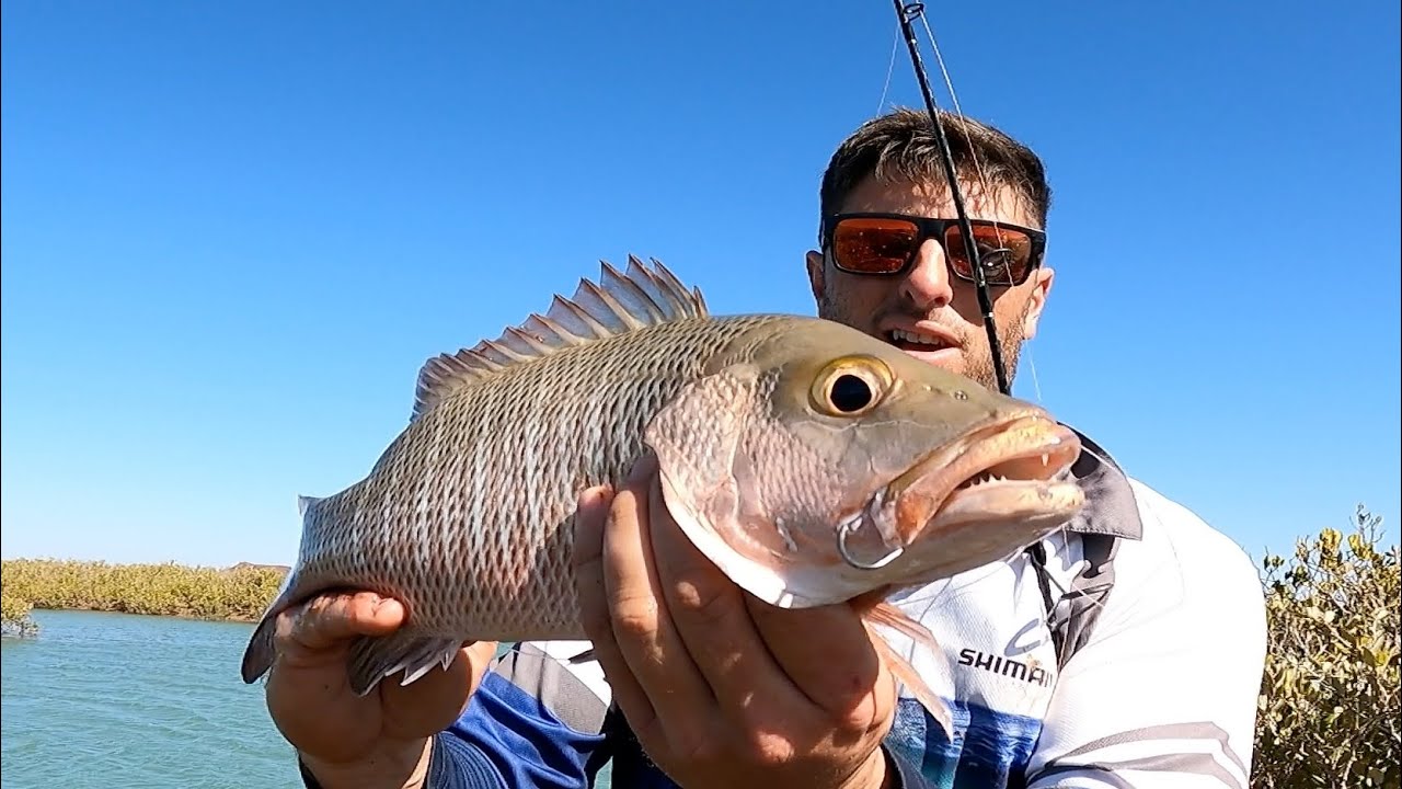 Winter Mangrove Jacks are a thing in Karratha!