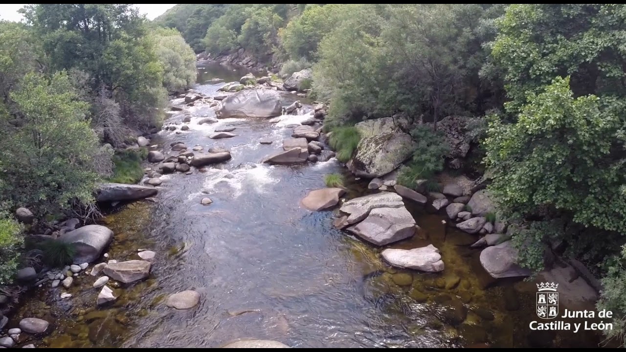 Coto de Pesca- Avila