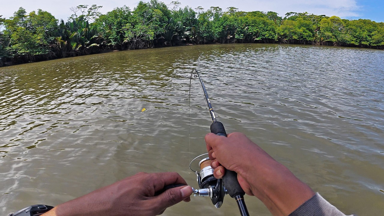 Mancing kakap Lezat untuk menu makan malam