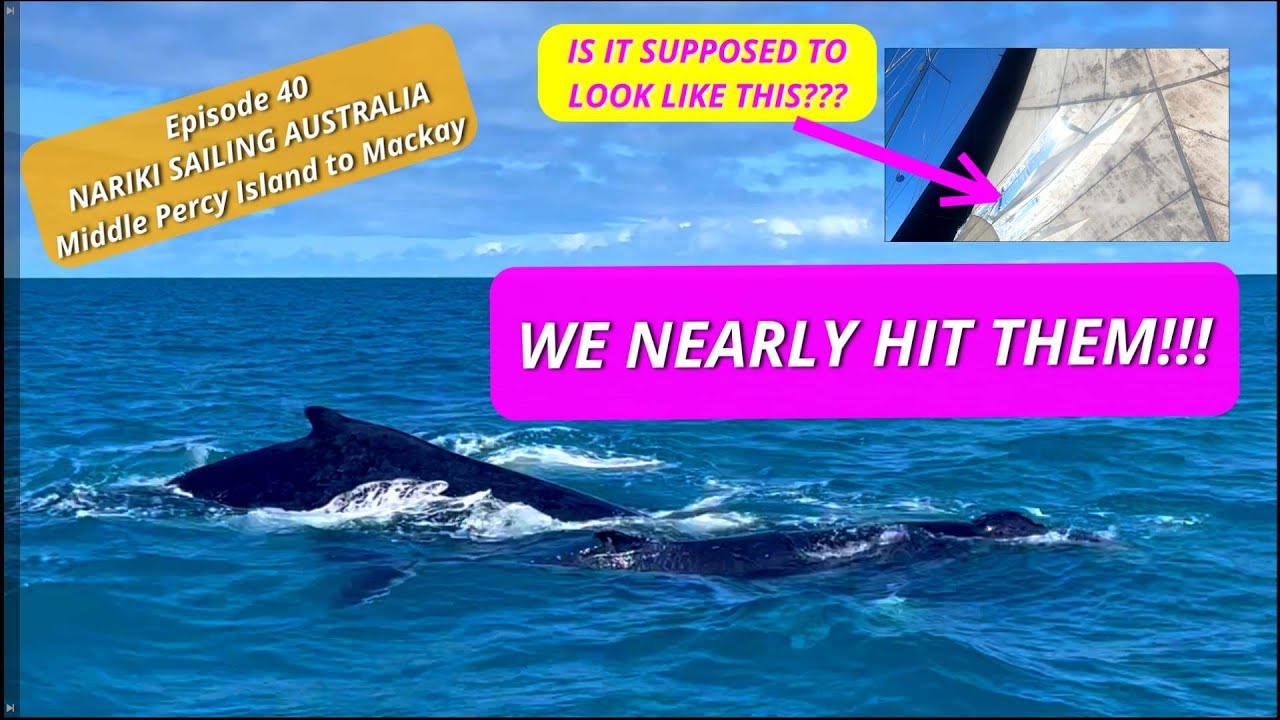 Episode 40 - Middle Percy Island to Mackay