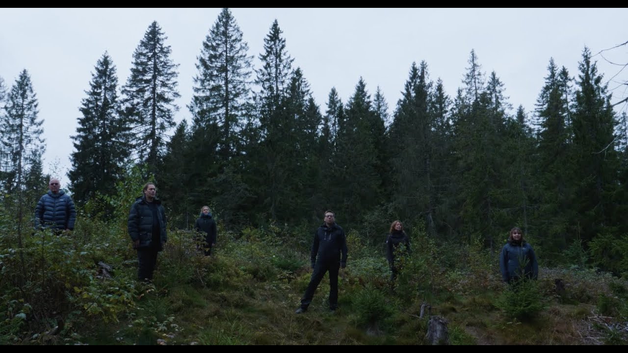 «Altered States II: A Forest of Their Own»