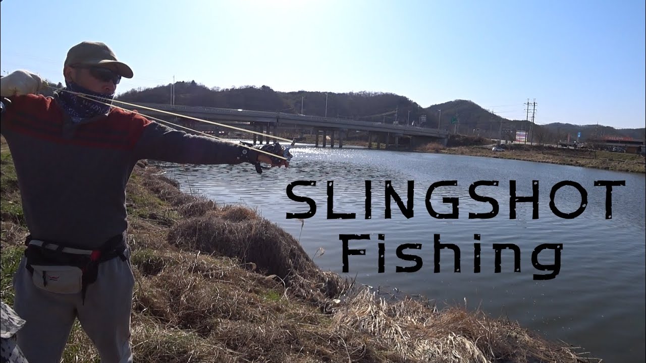 Крупный сазан. Городская охота с рогаткой. Slingshot Fishing