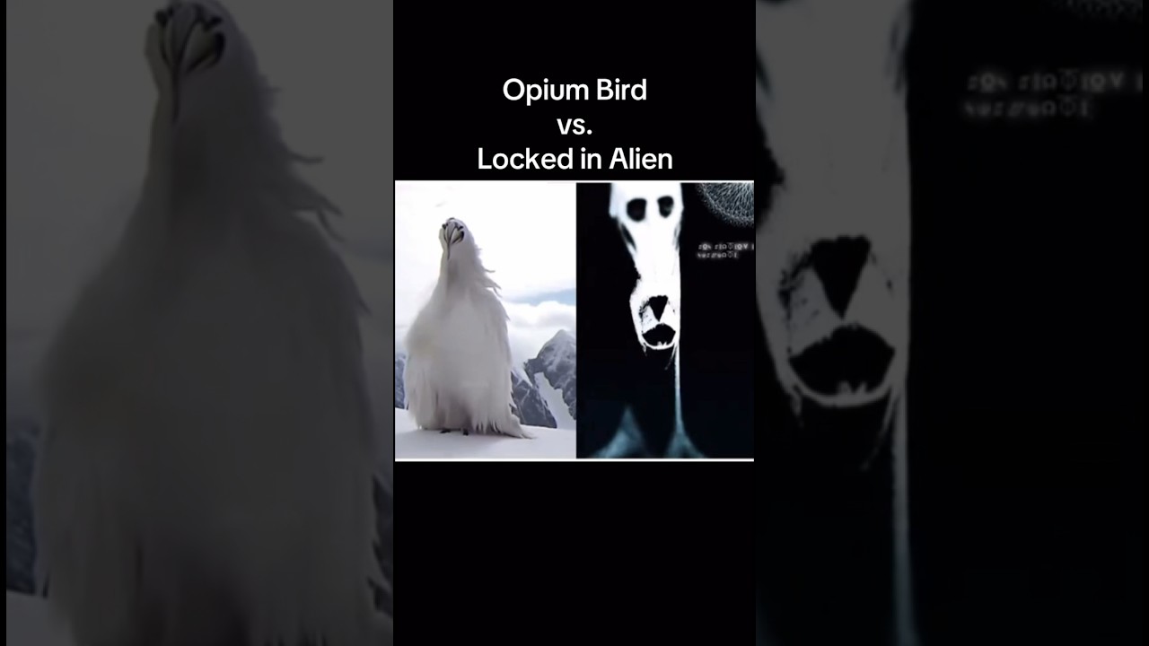 Locked in Alien vs. Opium Bird