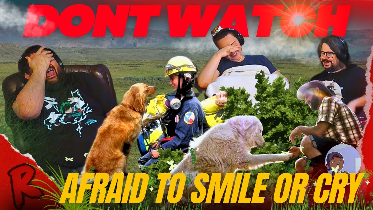 Don’t Watch This Video If You’re Afraid to Smile (Or Cry) - @Casual Geographic | RENEGADES REACT