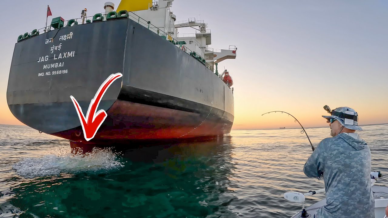 What Happens When You Drop Big Live Baits Under Giant Oil Tankers?