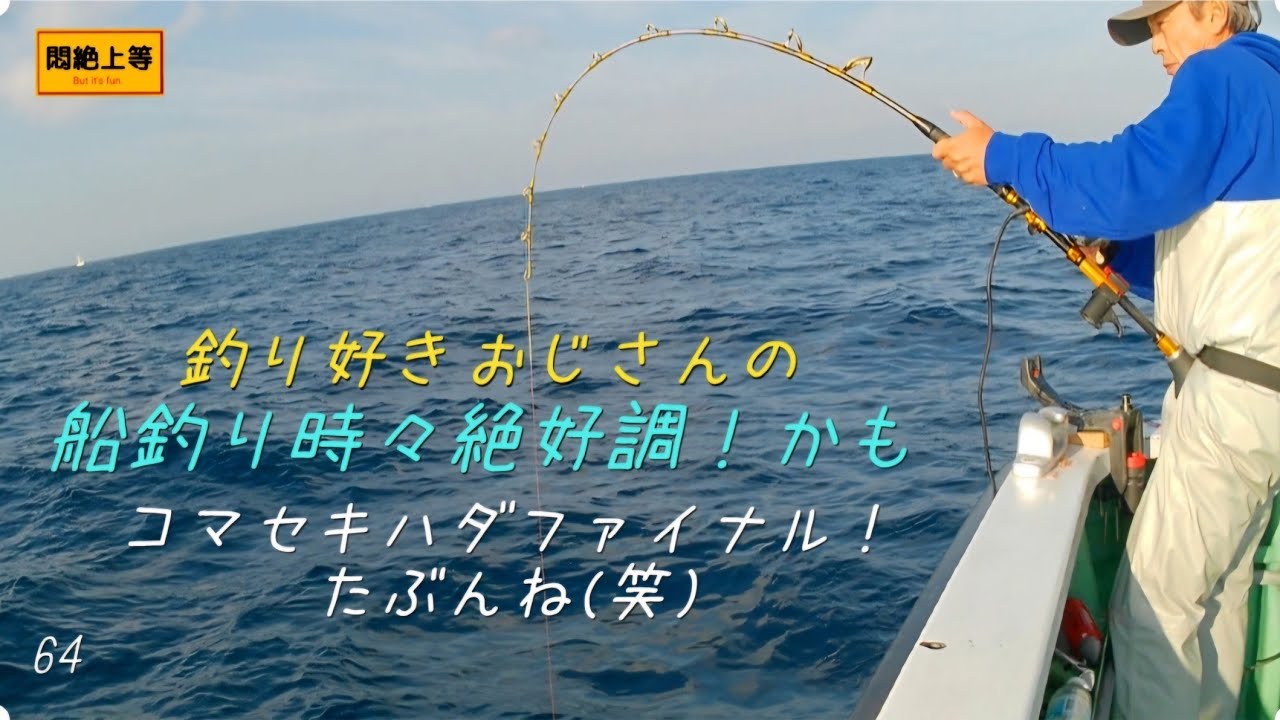 2025年11月24日 相模湾でコマセキハダファイナルのつもりですけどね(笑) #キハダマグロ #コマセキハダ #一義丸 #SHIMANO #ビーストマスターMD6000 #探見丸CVFISH 