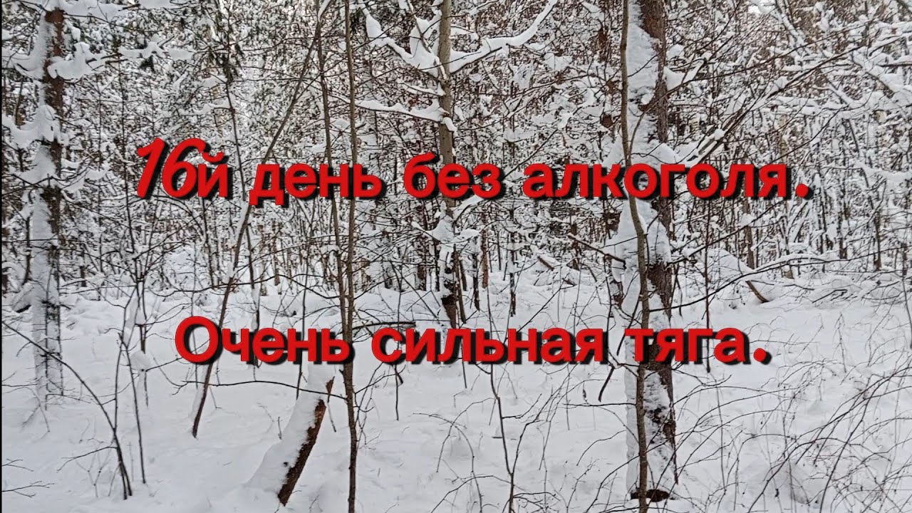 16й день трезвости. Очень сильная тяга.