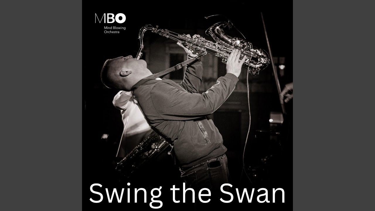 Swing the Swan