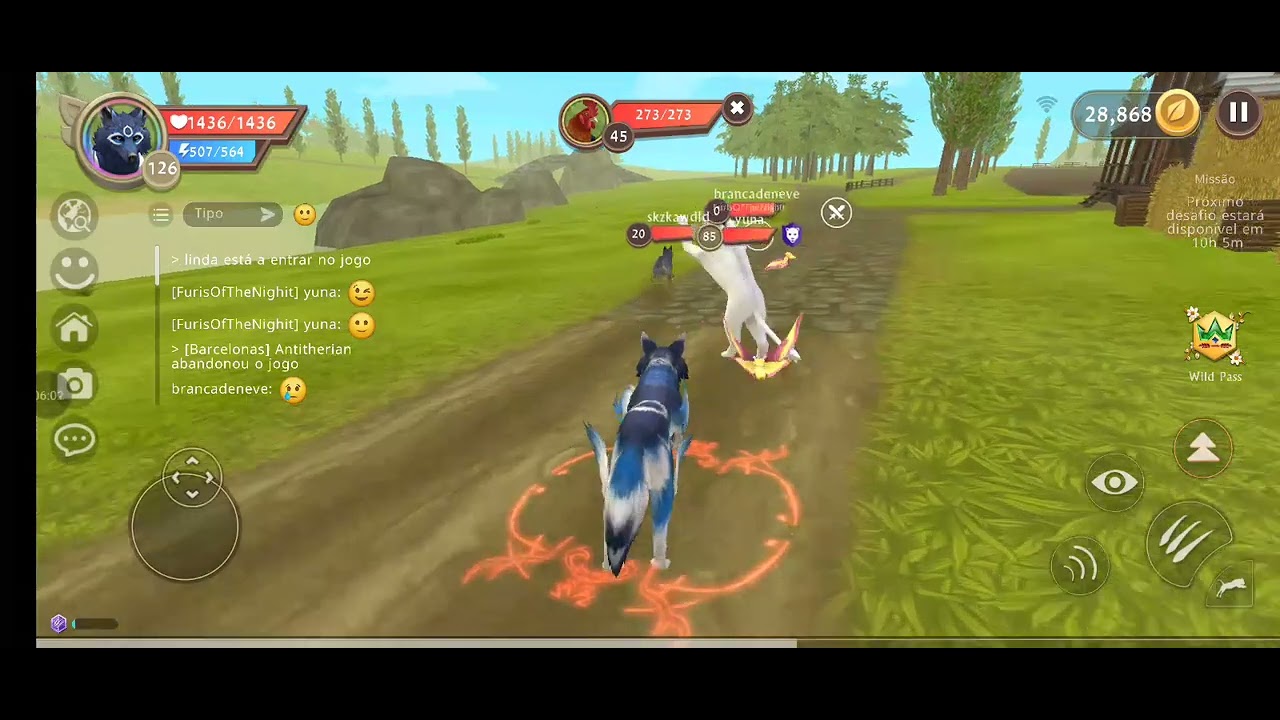 Matei o touro 2 veses