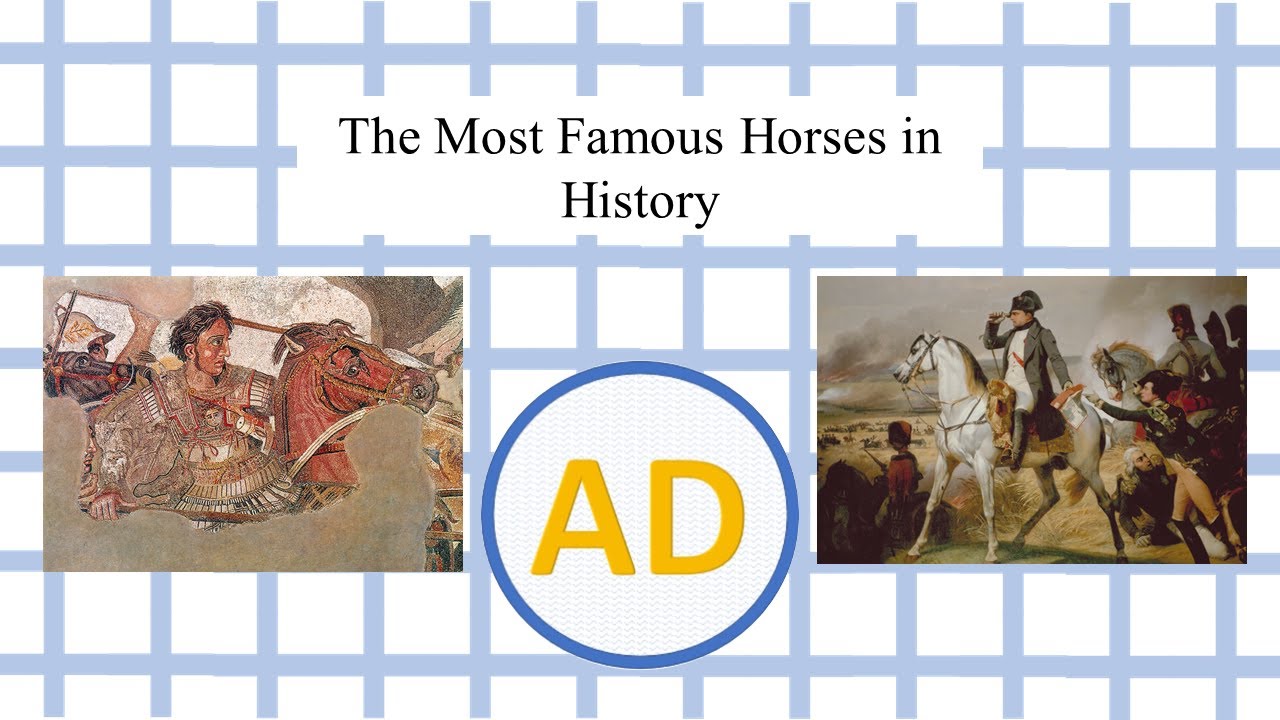 The Most Famous Horses in History