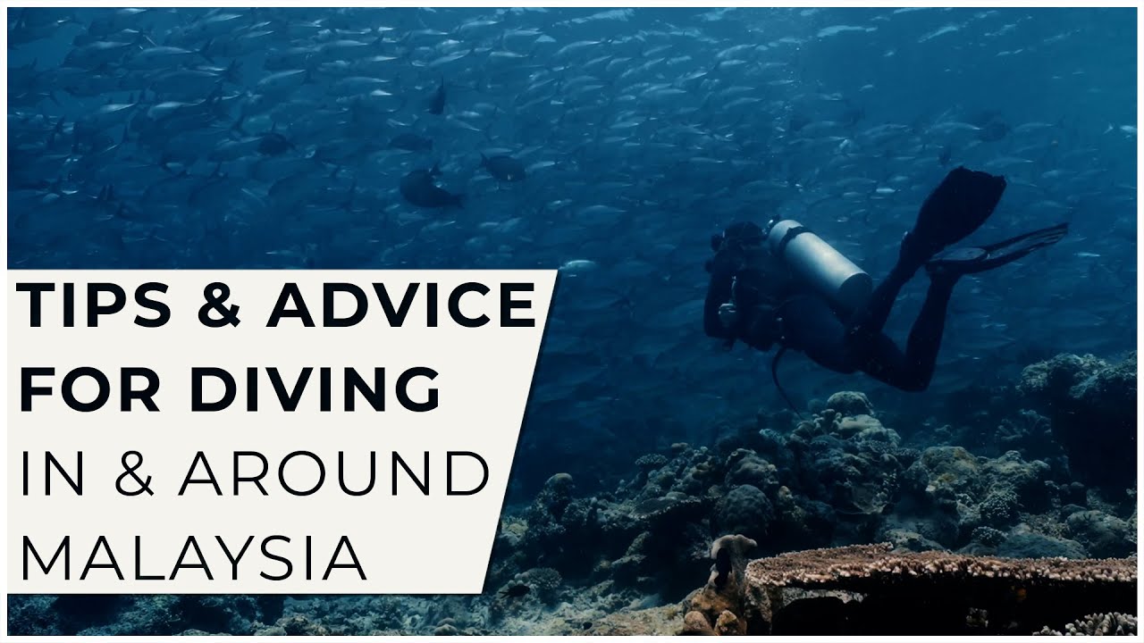 What You Need to Know Before Diving in Malaysia w/ @Malaysia Truly Asia