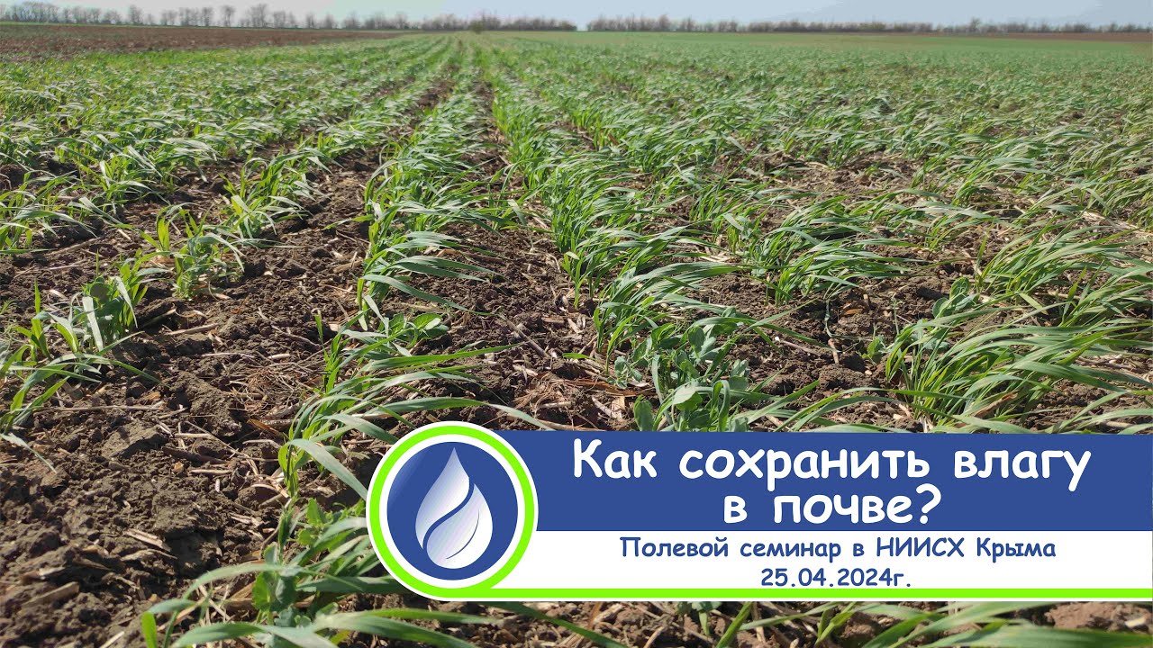 Опыт по сохранению влаги и управлению процессами почвенного плодородия