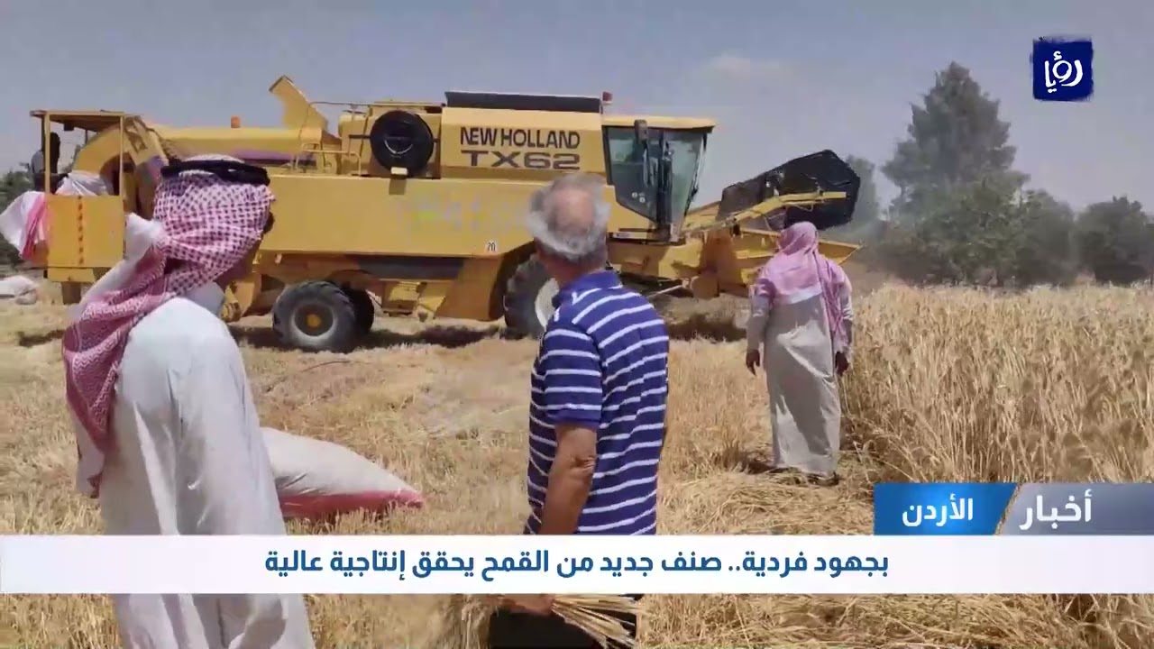 على طريق الاكتفاء الذاتي   إنتاجية عالية لصنف جديد من القمح